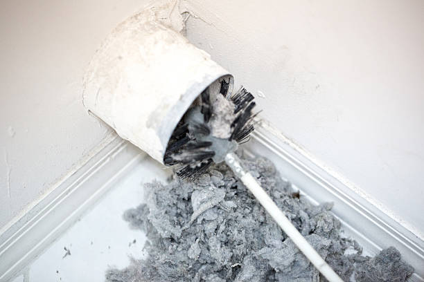 Best Air Duct Mold Removal  in Mcconnelsville, OH